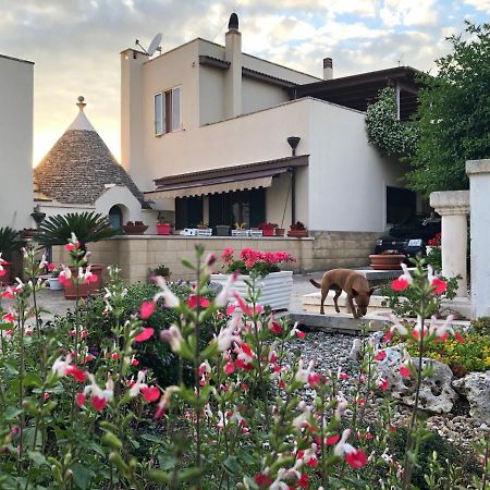Casa Delle Rondini Acomodação com café da manhã Alberobello Exterior foto