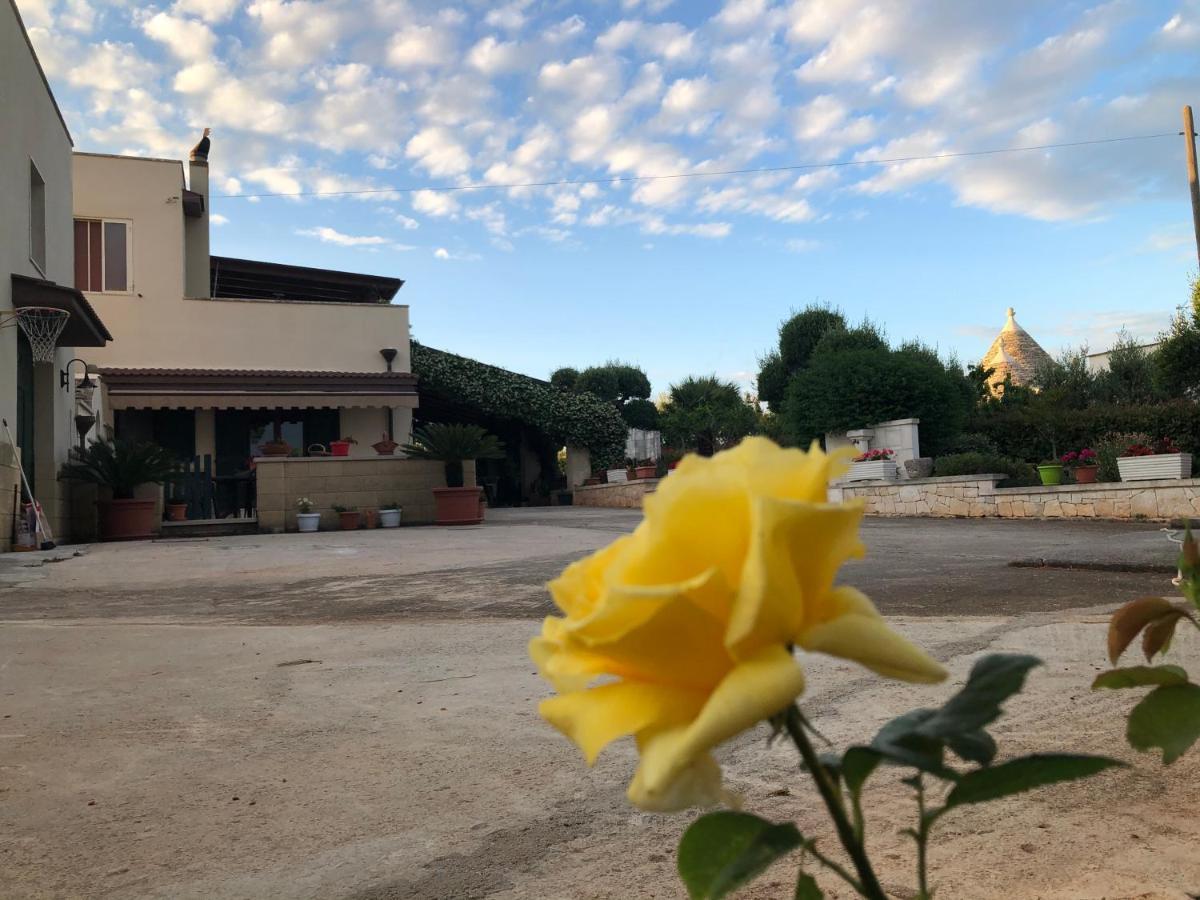 Casa Delle Rondini Acomodação com café da manhã Alberobello Exterior foto